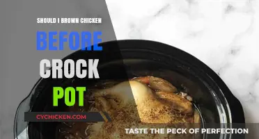 To Brown or Not to Brown: The Great Chicken Crockpot Debate
