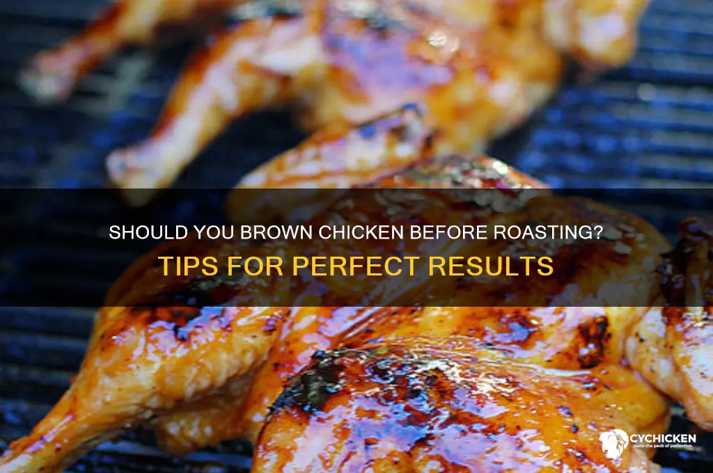 should i browned the chicken before roating it
