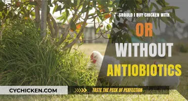 Antibiotic-Free Chicken: Healthier Choice or Marketing Hype?