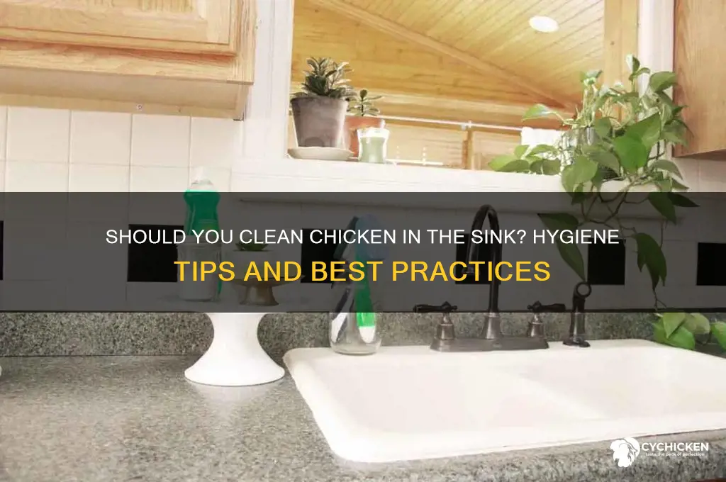 should i clean chicken in the sink
