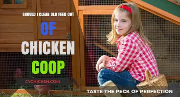 Spring Cleaning for Your Feathered Friends: Coop Maintenance Tips