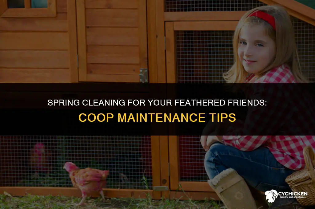 should i clean old feed out of chicken coop