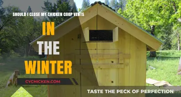 Winterizing Your Chicken Coop: Ventilation Tips for Cold Weather