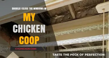 Coop Ventilation Dilemma: To Close or Not to Close the Windows?