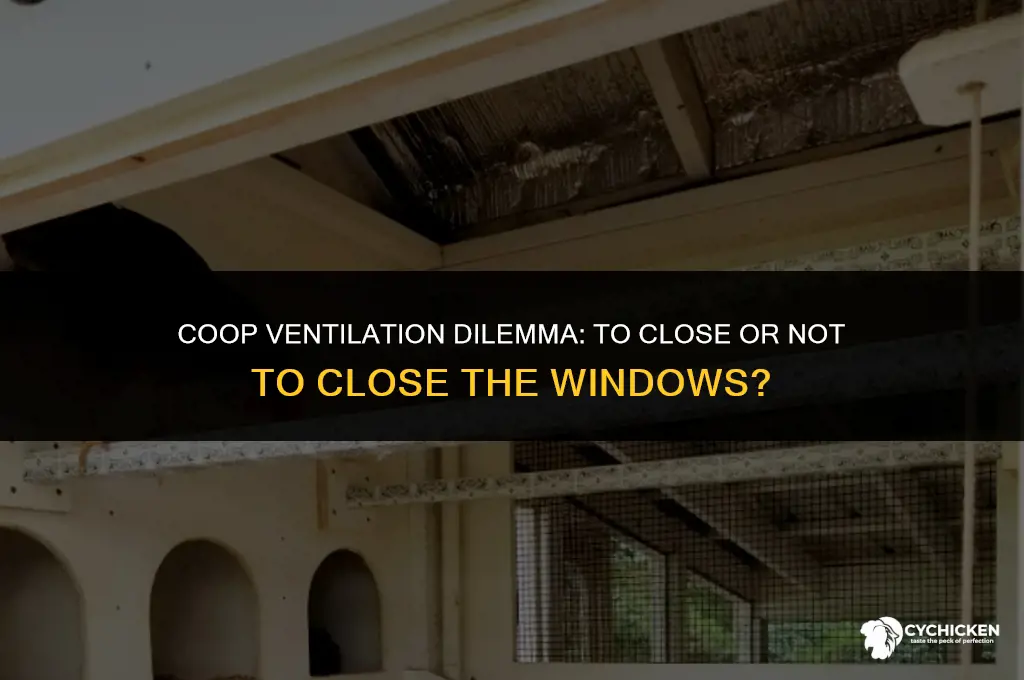 should i close the windows in my chicken coop