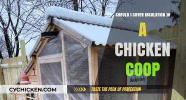 Insulating a Chicken Coop: Essential Tips for Optimal Comfort