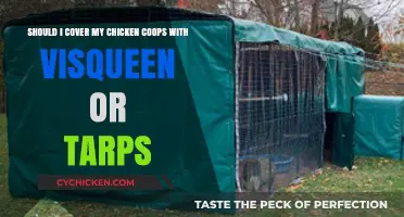 Protecting Your Flock: Visqueen vs. Tarps for Chicken Coop Coverage