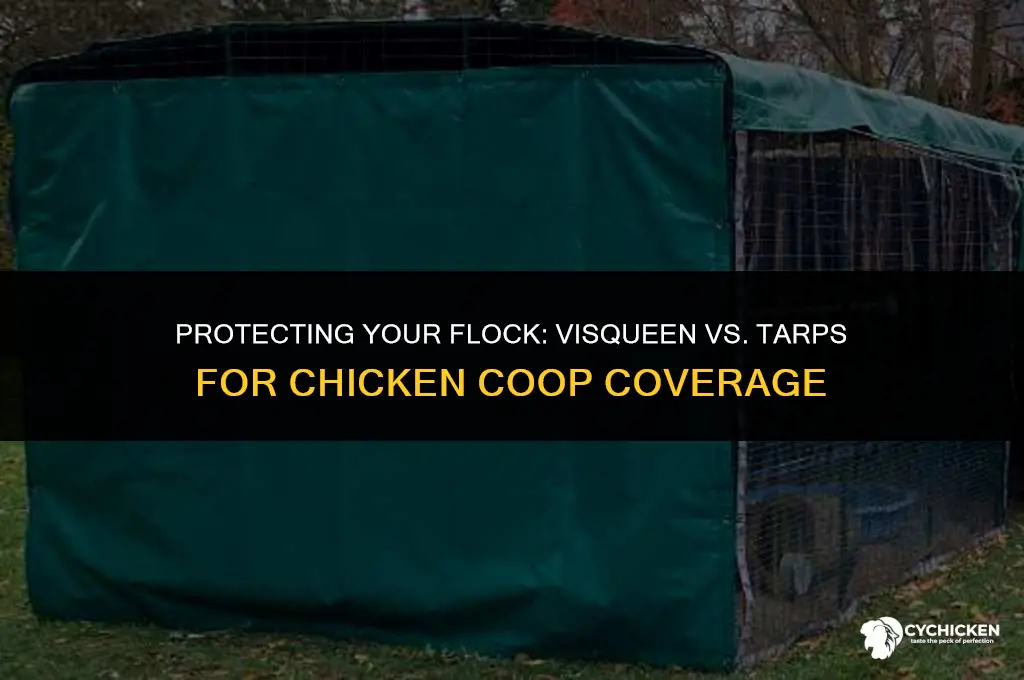 should i cover my chicken coops with visqueen or tarps