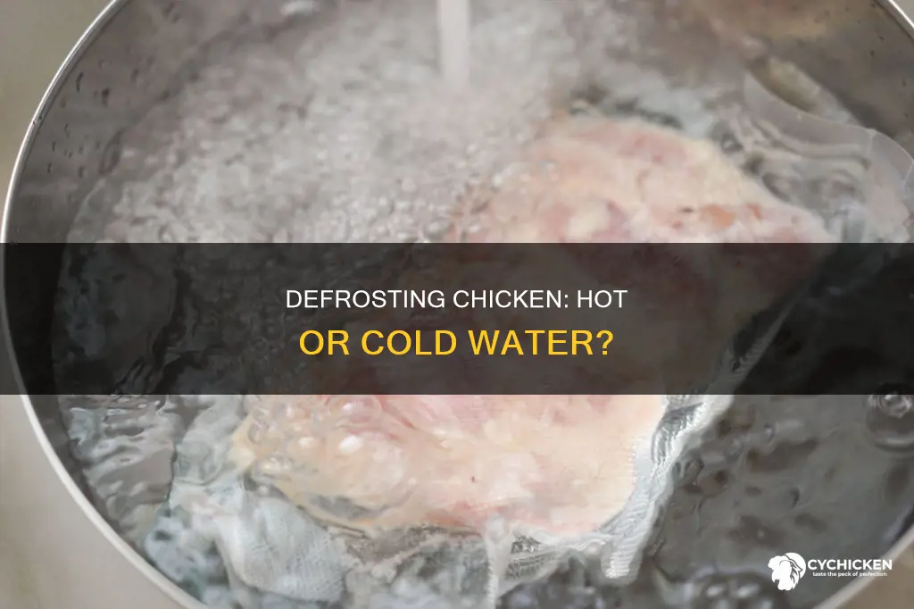 should i defrost chicken in hot or cold water