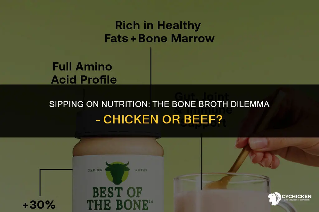 should i drink chicken or beef bone broth