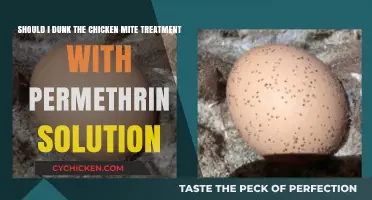 Dunking Chicken Mites: Permethrin Solution Soak Treatment