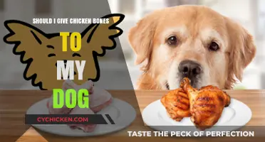 Chicken Bones for Dogs: Safe or Dangerous? Expert Advice