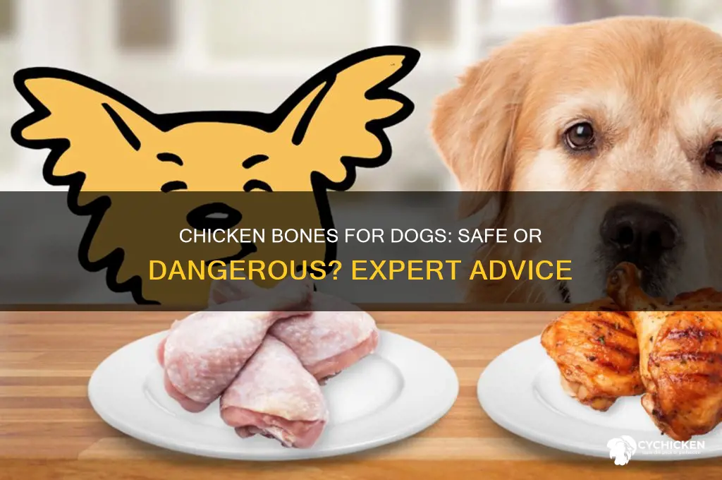 should i give chicken bones to my dog
