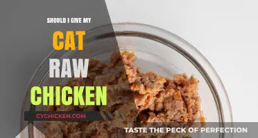 Raw Chicken for Cats: Safe Feeding Tips and Risks Explained
