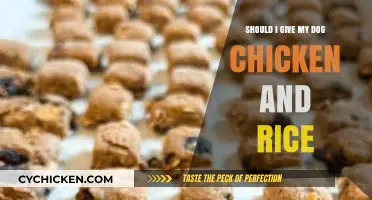 Chicken and Rice for Dogs: Benefits, Risks, and Feeding Tips