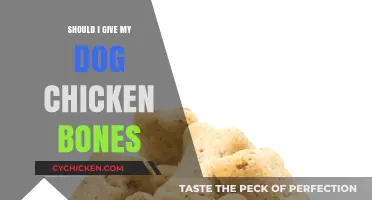 Are Chicken Bones Safe for Dogs? Risks and Alternatives Explained
