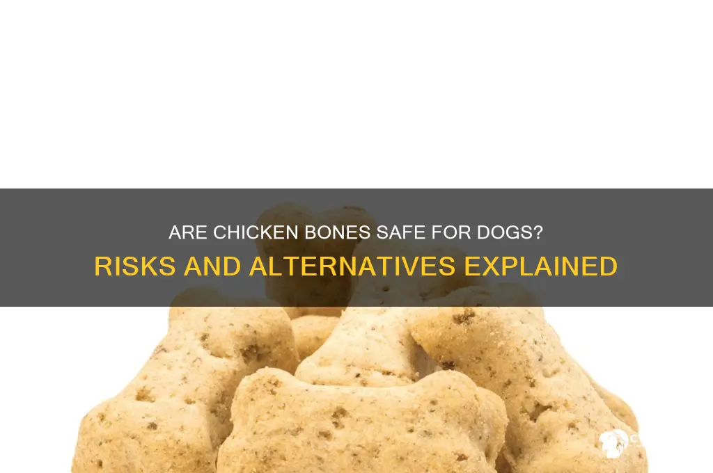 should i give my dog chicken bones