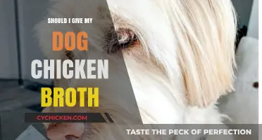 Is Chicken Broth Safe for Dogs? A Complete Guide