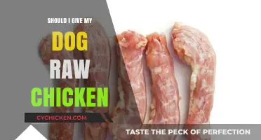 Raw Chicken for Dogs: Safe, Risky, or Harmful? Expert Insights