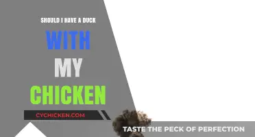 Mixing Poultry: Should You Raise a Duck with Your Chicken?