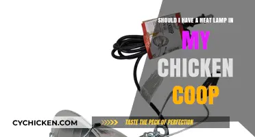 Cozy Coop Considerations: The Heat Lamp Debate for Chicken Comfort