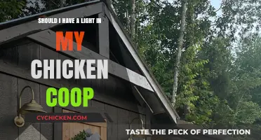 Illuminating Insights: The Importance of Lighting in Your Chicken Coop