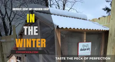 Winterizing Your Chicken Coop: To Heat or Not to Heat?