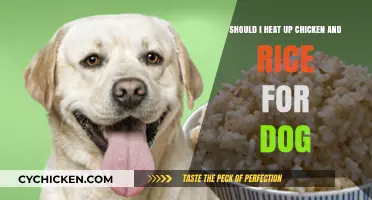 Heating Chicken and Rice for Dogs: Safe or Not?