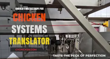 Should You Install ASPI for Chicken Systems Translator? Pros & Cons