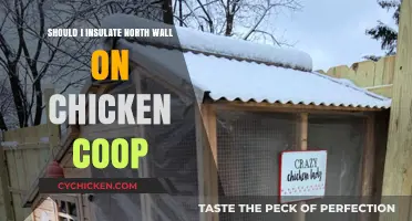 Insulating the North Wall of Your Chicken Coop: A Wise Decision?