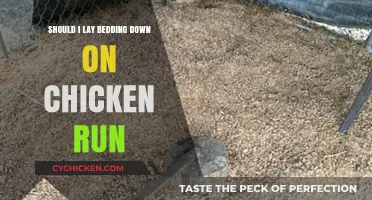 Should You Add Bedding to Your Chicken Run? Pros and Cons