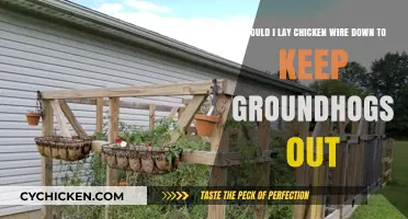 How Chicken Wire Can Keep Groundhogs Away