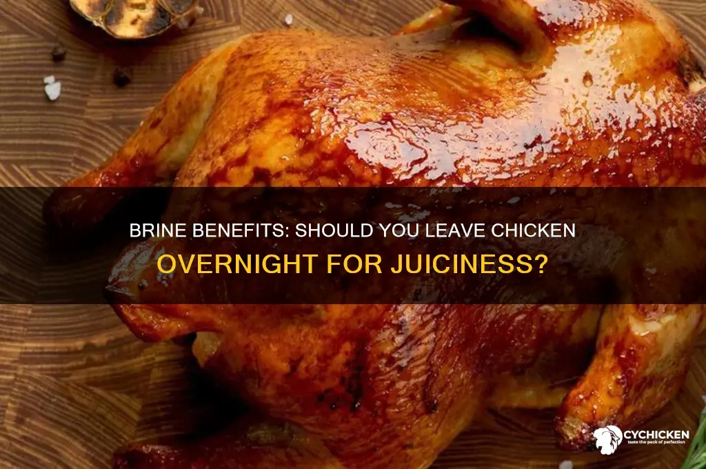 should i leave my chicken in brine overnight