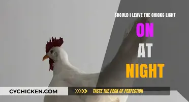 Night Light: Chickens Need Darkness to Sleep