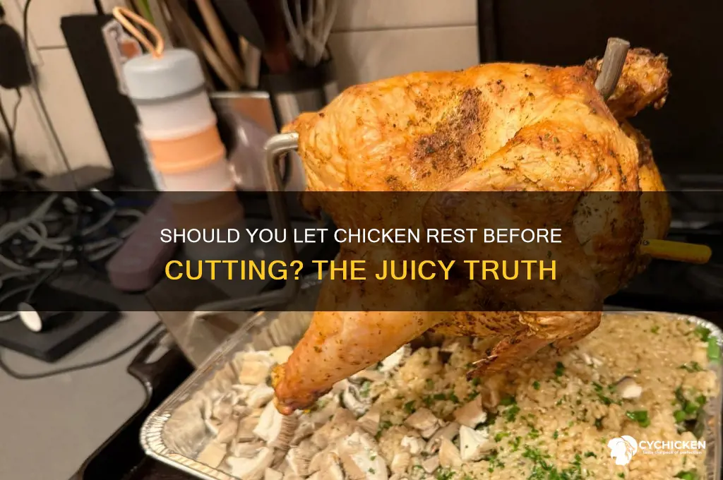 should i let chicken rest before cutting