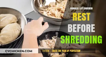 Should You Let Chicken Rest Before Shredding? Tips for Perfectly Pulled Poultry