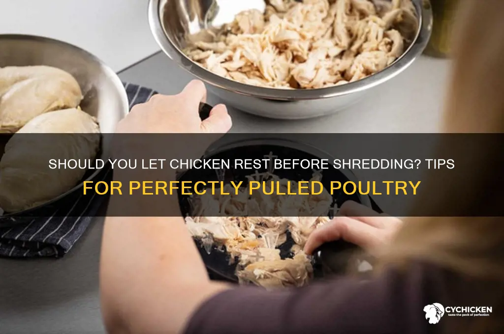should i let chicken rest before shredding