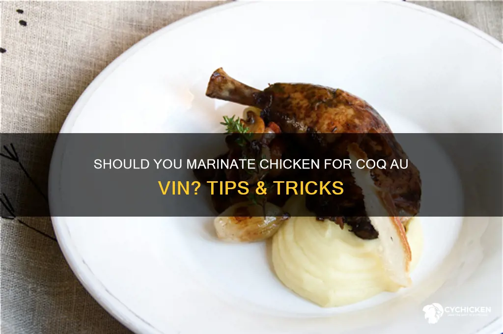 should i marinate chicken coq a vin