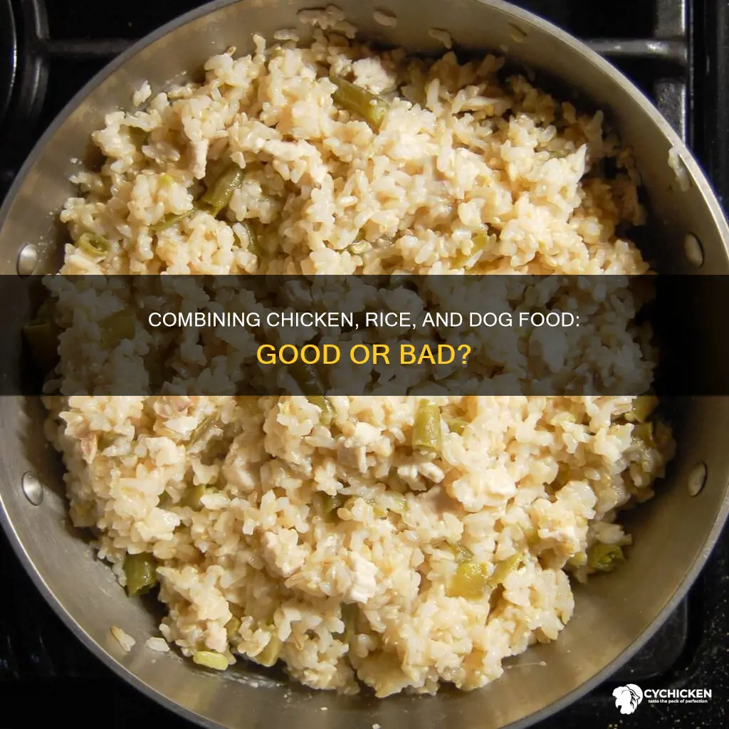 should i mix chicken and rice with my dogs dogfood