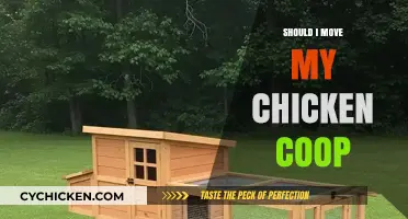 Relocating Your Chicken Coop: Weighing the Pros and Cons