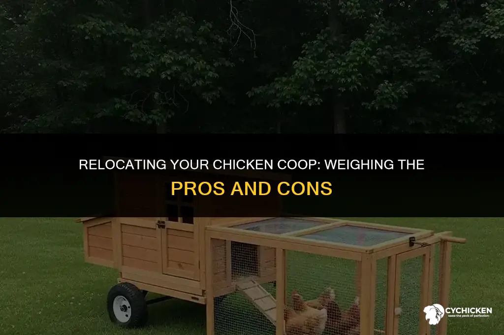should i move my chicken coop