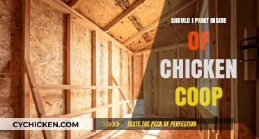Enhancing Your Chicken Coop: The Pros and Cons of Interior Painting