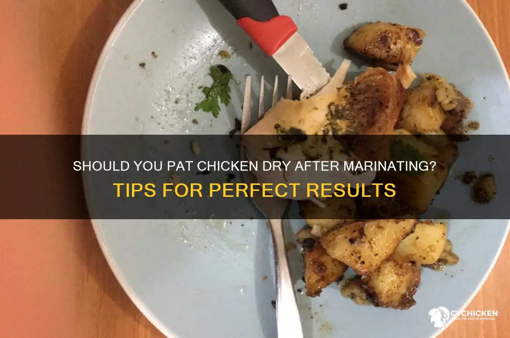 should i pat chicken dry after marinating