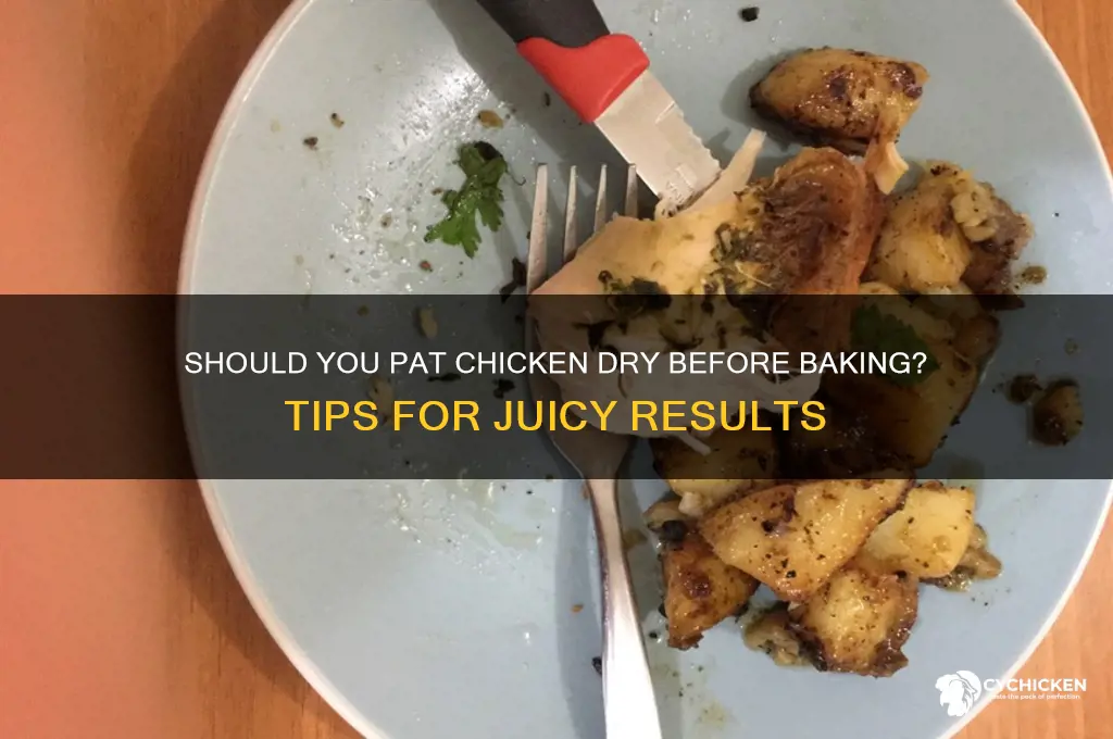 should i pat chicken dry before baking