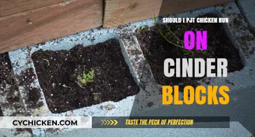 Cinder Blocks for Chicken Runs: Pros, Cons, and Practical Tips