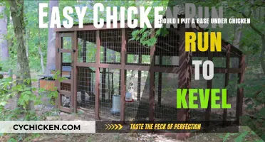 Why Put a Base Under Your Chicken Run?