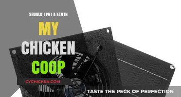 Cooling Considerations: To Fan or Not to Fan Your Chicken Coop