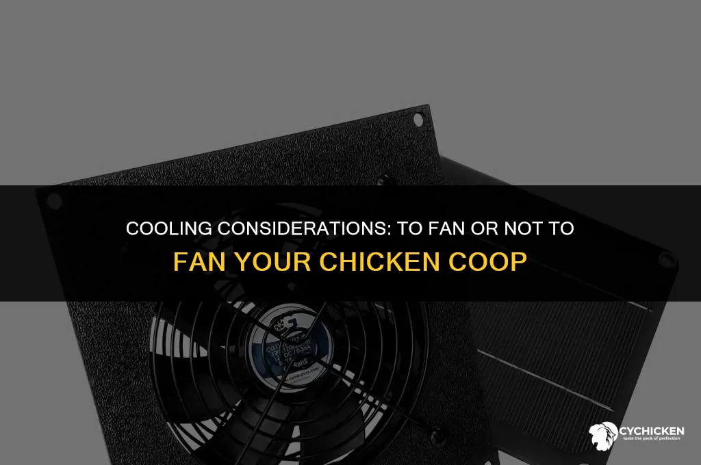 should i put a fan in my chicken coop