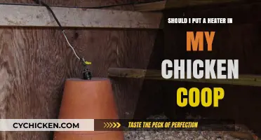 Cozy Quarters: The Debate on Heaters in Chicken Coops