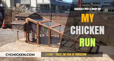 Protecting Your Chickens: The Benefits of a Roofed Run